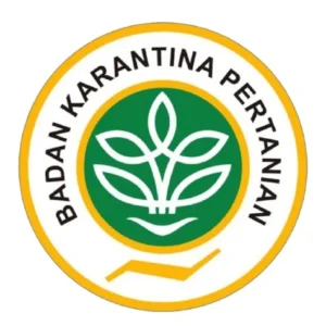 ezgif.com-png-to-webp-converter