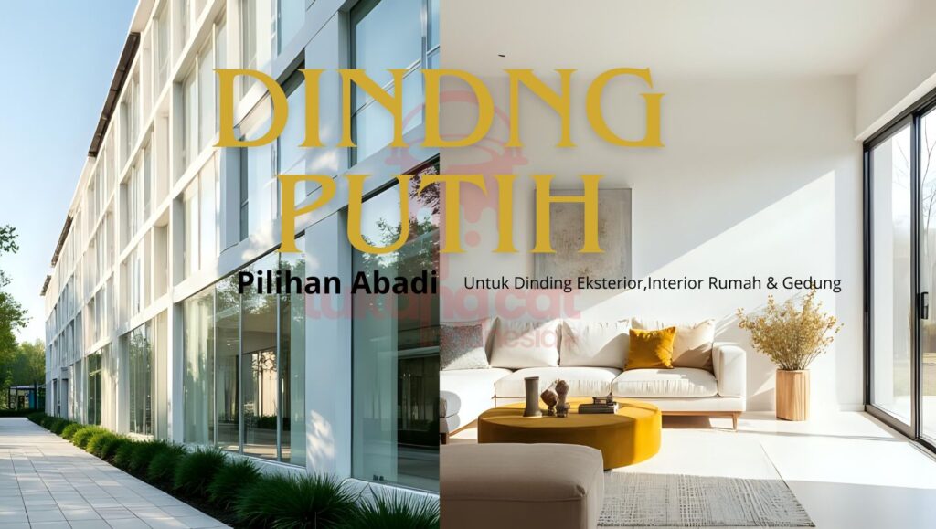 Warna Putih Gedung,Cat Putih Eksterior,Cat Putih Interior,Arti Warna Putih Psikologis,Psikologi Warna Putih,Gedung Modern Putih,Fasad Gedung Putih,Desain Minimalis Putih,Kesan Luas Interior Putih,Tren Warna Arsitektur Putih, Cat Gedung Bersih putih, Keunggulan Warna Putih Gedung